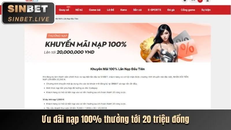 Trải nghiệm sòng bạc trực tiếp